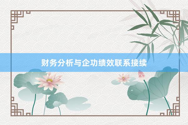 财务分析与企功绩效联系接续