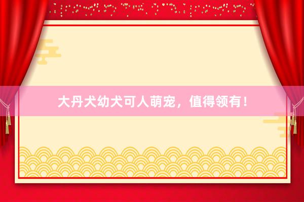 大丹犬幼犬可人萌宠,值得领有!